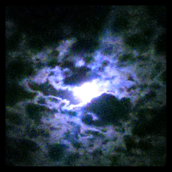 Meet your Posher, Curtis - Picture 1 of 1